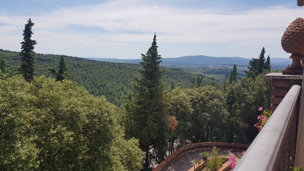 Áreas de la propiedad