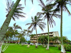 Ngoại thất