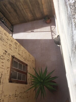A room with a tiled wall, a window, and a potted plant.