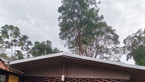 A small, single-story building with a covered outdoor seating area. - Cabinas Hukats Secret Jungle (Cahuita)