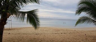 キャビナス フカツ シークレット ジャングル