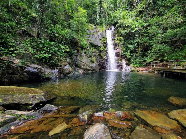 Une cascade située dans une zone boisée, avec une eau claire et un paysage rocheux.