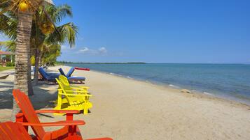 Trên bãi biển, cát trắng, ghế dài tắm nắng, dù trên bãi biển