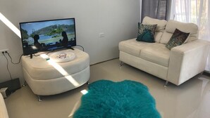 A modern living room with a flat-screen TV on a white ottoman, a beige sofa with decorative pillows, and a teal furry rug. - villa with a private garage ,build out of shipping container,fll two rooms and two bathrooms ,dining kitchen ,plenty outdoor space for barbecue (San Miguel)
