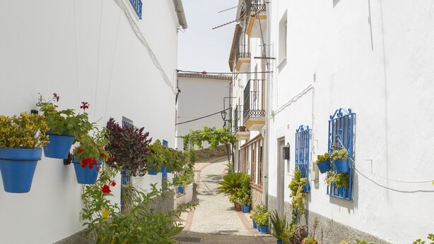 A narrow cobblestone alley flanked by white buildings with blue window frames and hanging flower baskets. - La Mariquilla, rural housing in Jubrique, Valle del Genal, natural paradise ... (Jubrique)
