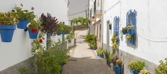 La Mariquilla, rural housing in Jubrique, Valle del Genal, natural paradise ...