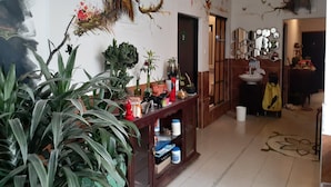 A room with a wooden console table, various potted plants, and a wall with bird and butterfly art. - Coralite Hostel (Santa Marta)
