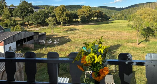 Ländliche Landschaft mit Scheune, offenen Feldern und einem Haus im Hintergrund.