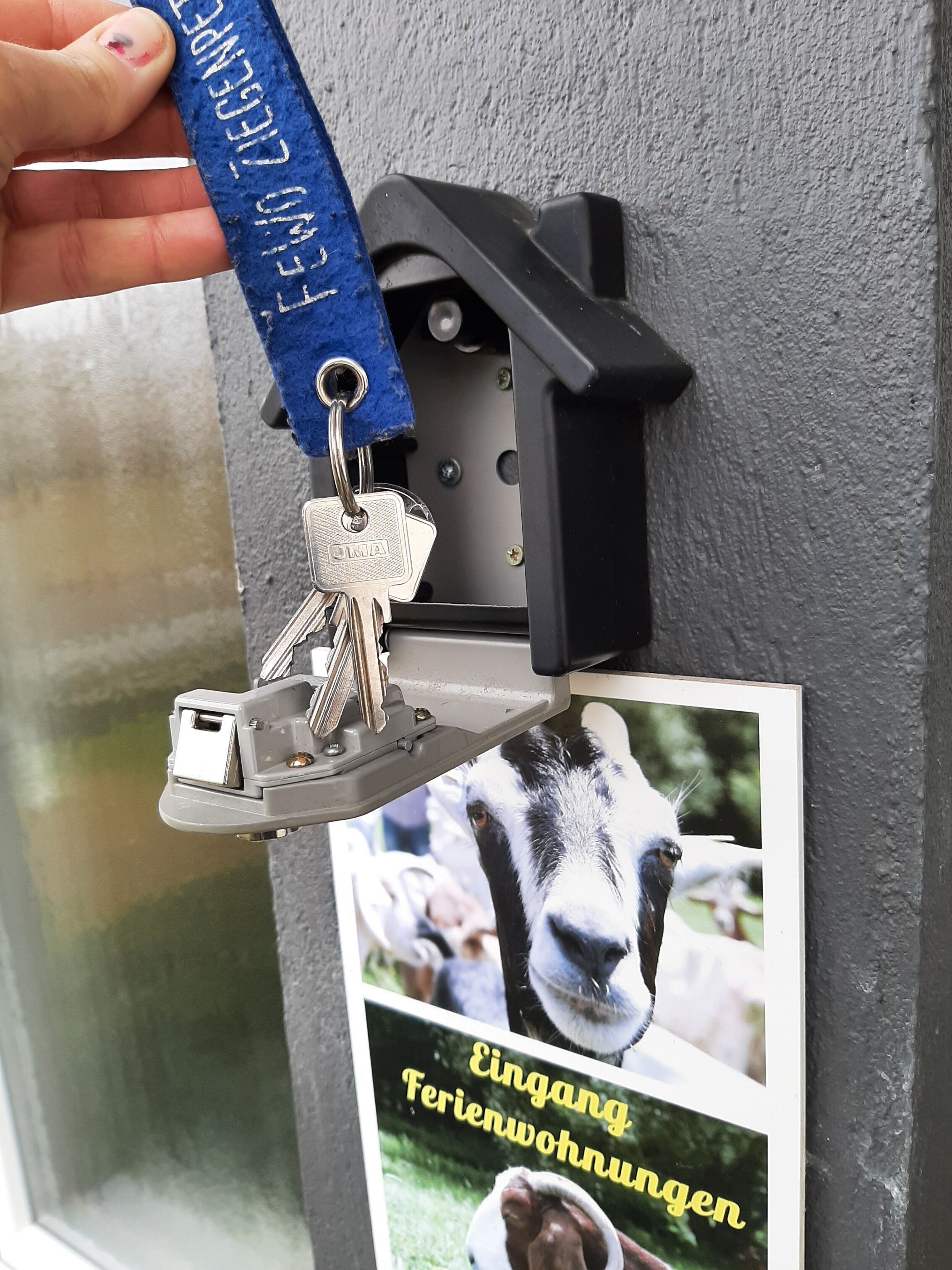 Una porta amb una cerradura i una foto d'una cabra.