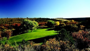 Cabin (2 Bedroom 1 Bath Cabin - sleeps up to) | Golf