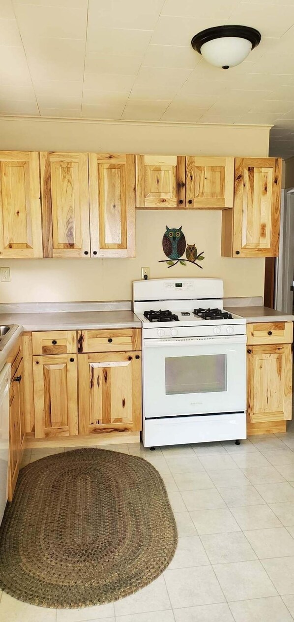 Een koelkast, een oven, een kookplaat, een vaatwasser