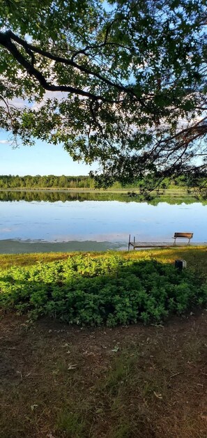 A serene lakeside view with a bench and lush greenery.