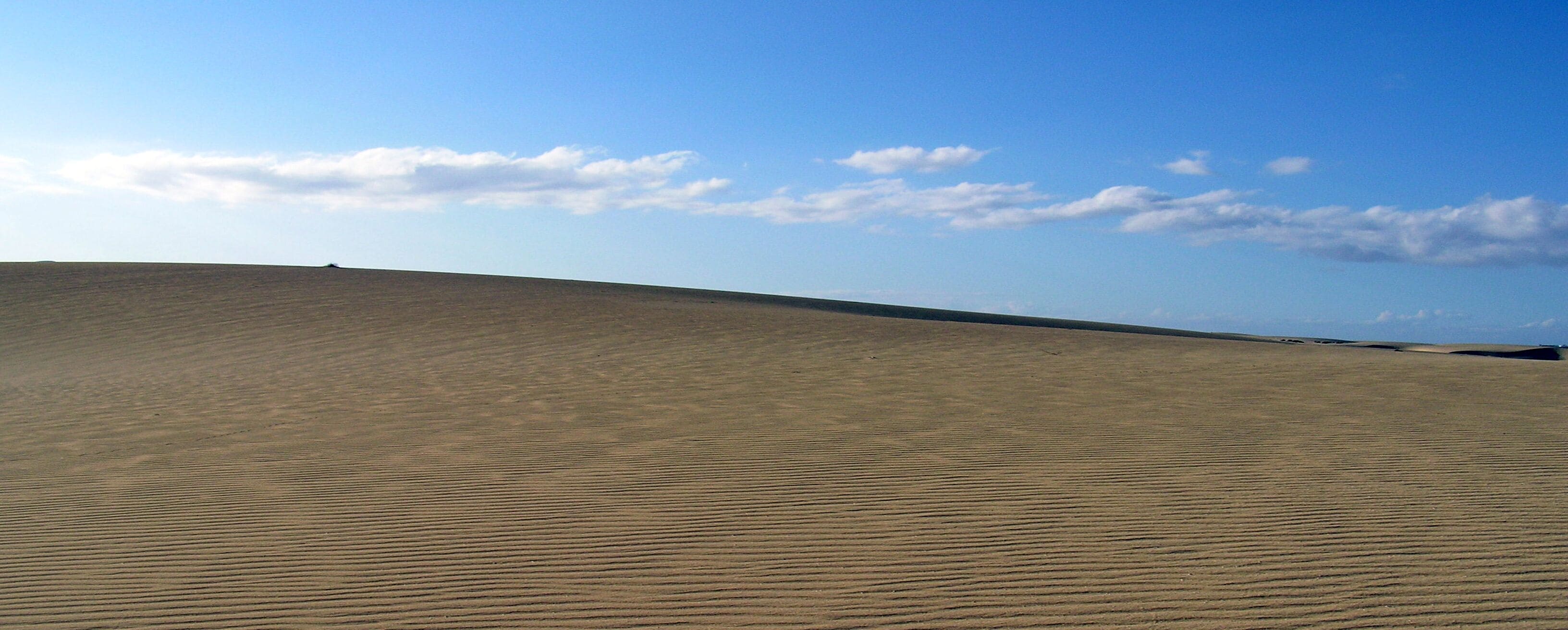 Un extenso paisaje arenoso con dunas ondulantes bajo un cielo despejado.