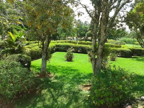 Overnattingsstedets uteområder