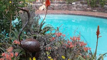 A swimming pool surrounded by plants and flowers, with a brick wall and a dog in the background.