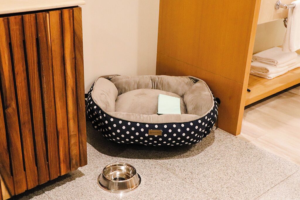 Foto - Hotel Mio Vallarta - Adults Only