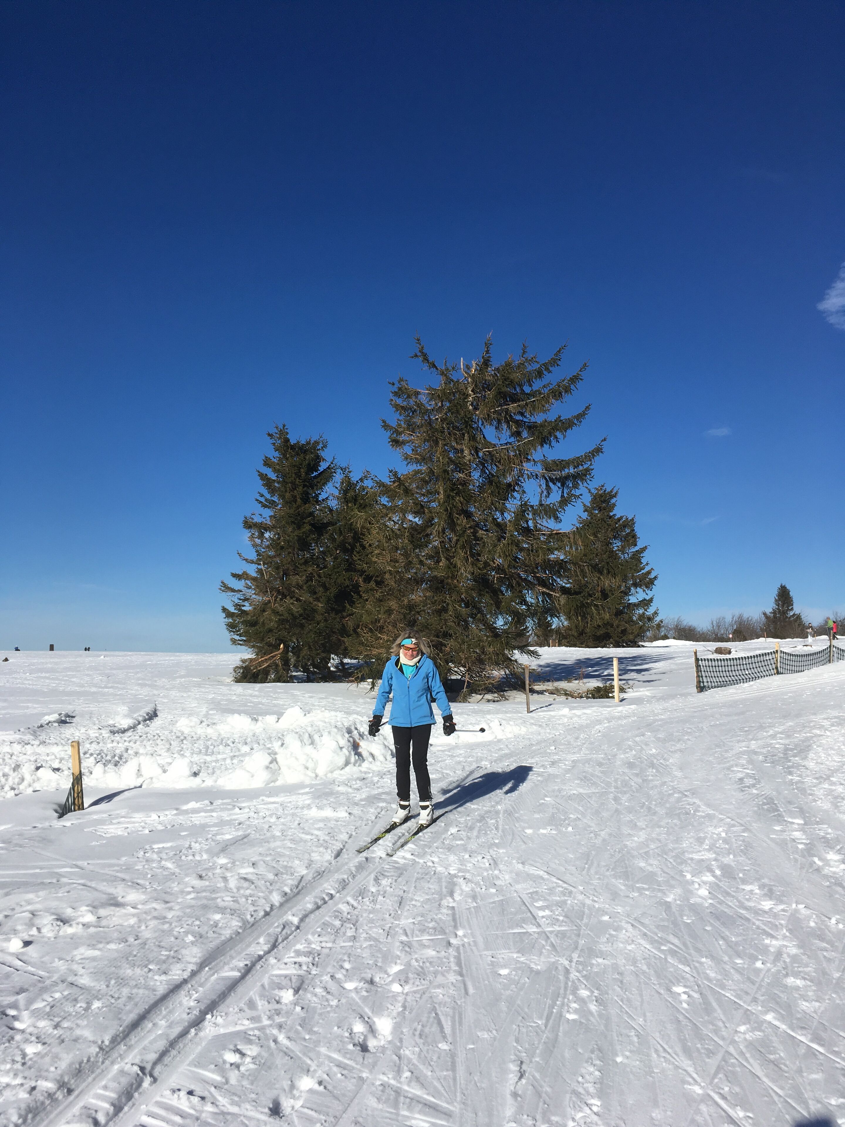Snø- og skisport