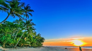 Ein Strand mit Palmen und einem Sonnenuntergang.