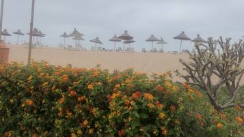 Bar de playa