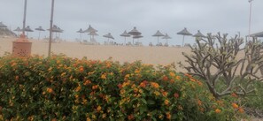 Bar de plage