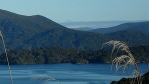 Unclassified image, 2 of 18, button - Anchorstone (Stewart Island / Rakiura)