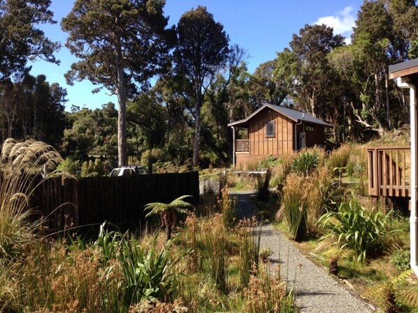 Garden - Anchorstone (Stewart Island / Rakiura)
