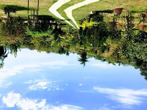 Property grounds - Beautiful place in Esmeraldas near Our Farm (Esmeraldas)