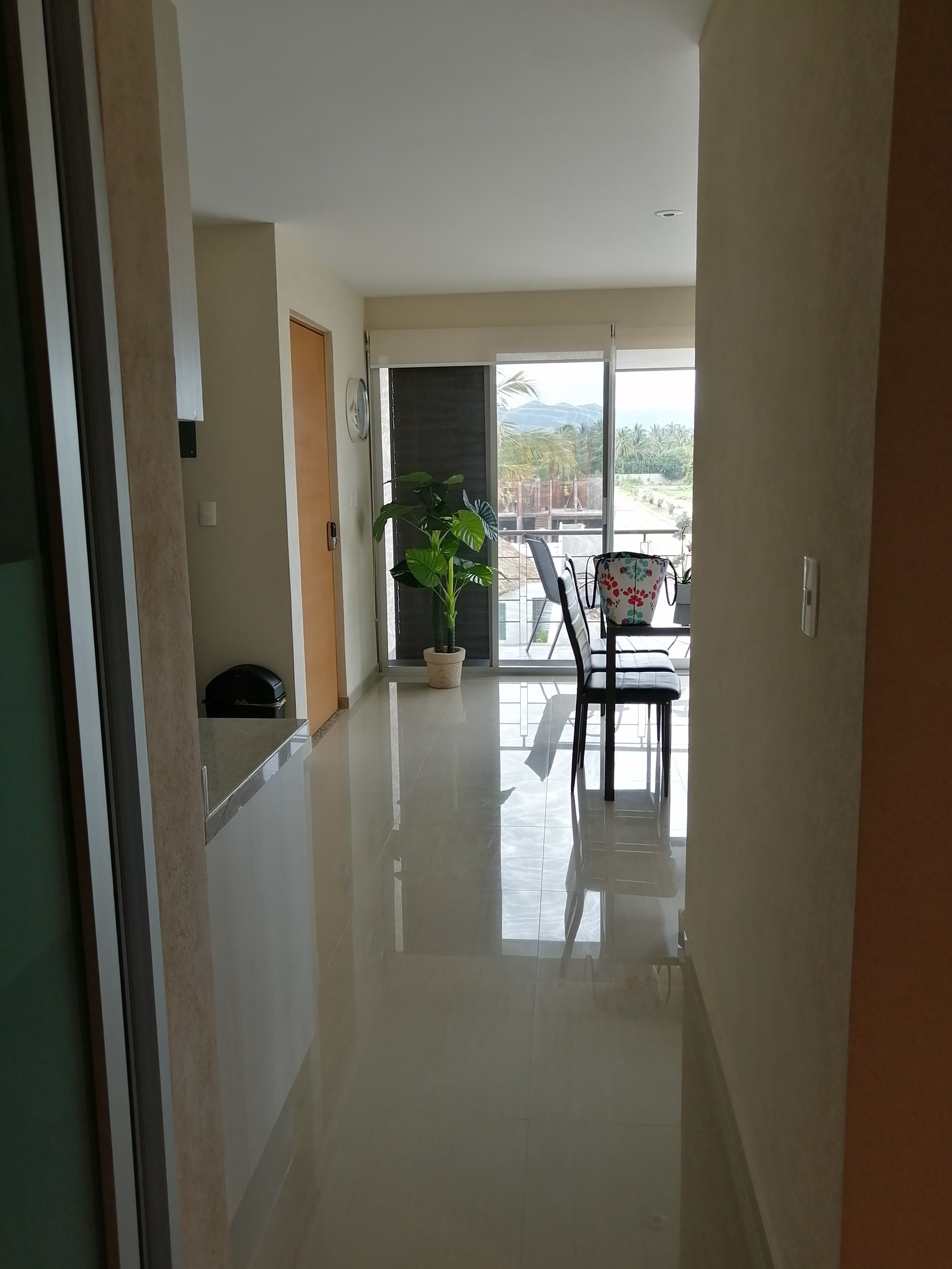Un pasillo que da a un balcón con una maceta y una silla.