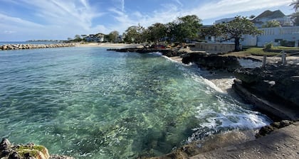 Fantastic Beachfront 2 B&B Condo. Perfect Work From Home! WiFi &Cable