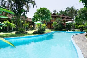 Una piscina al aire libre, sombrillas, sillones reclinables de piscina