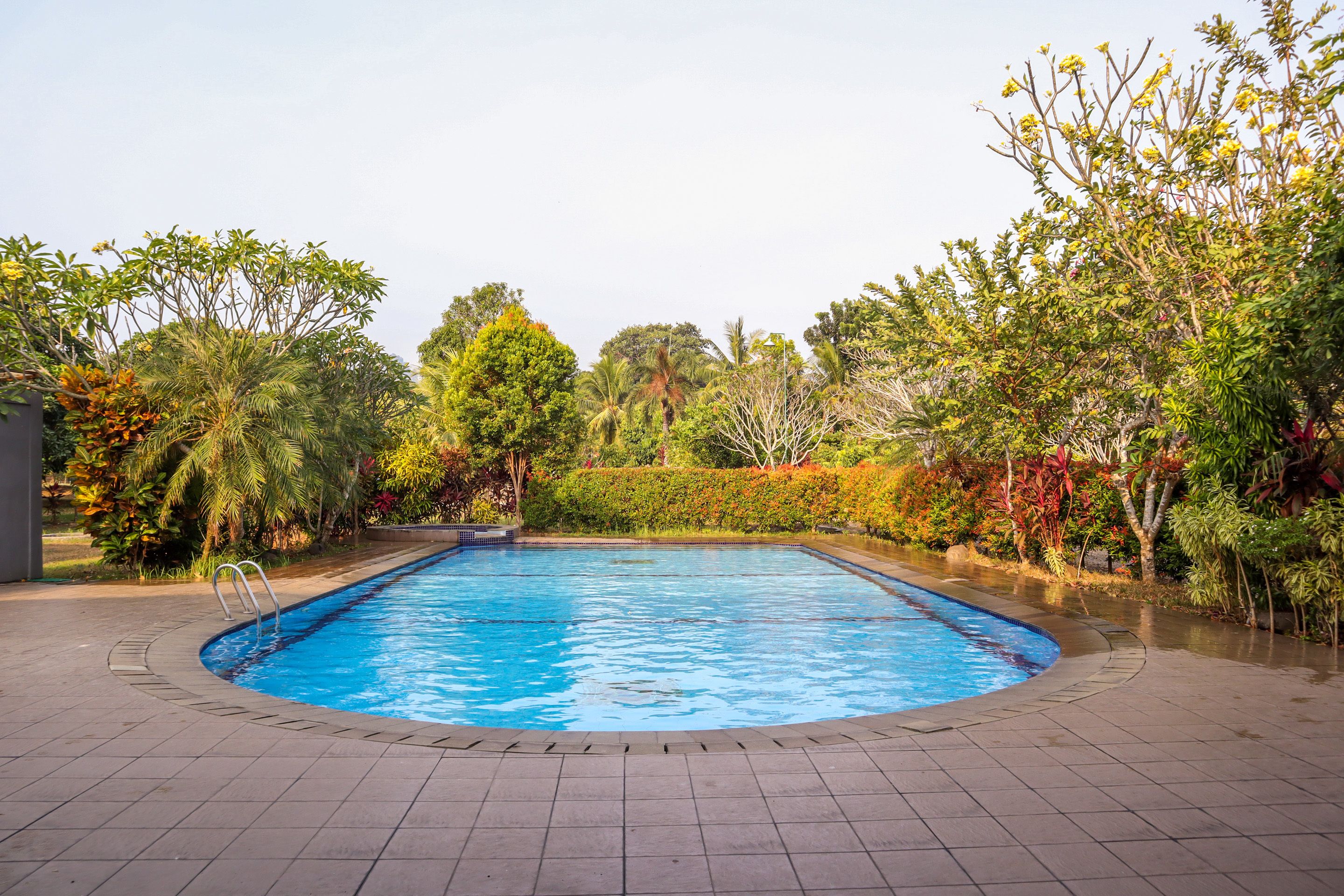 Piscina externa