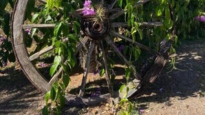 Una jardinera de madera con flores moradas, sobre un fondo de cielo despejado y paisaje lejano.