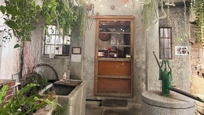 A rustic interior with hanging plants, string lights, and a vintage door.