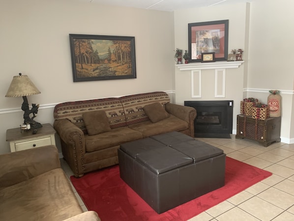 TV, fireplace