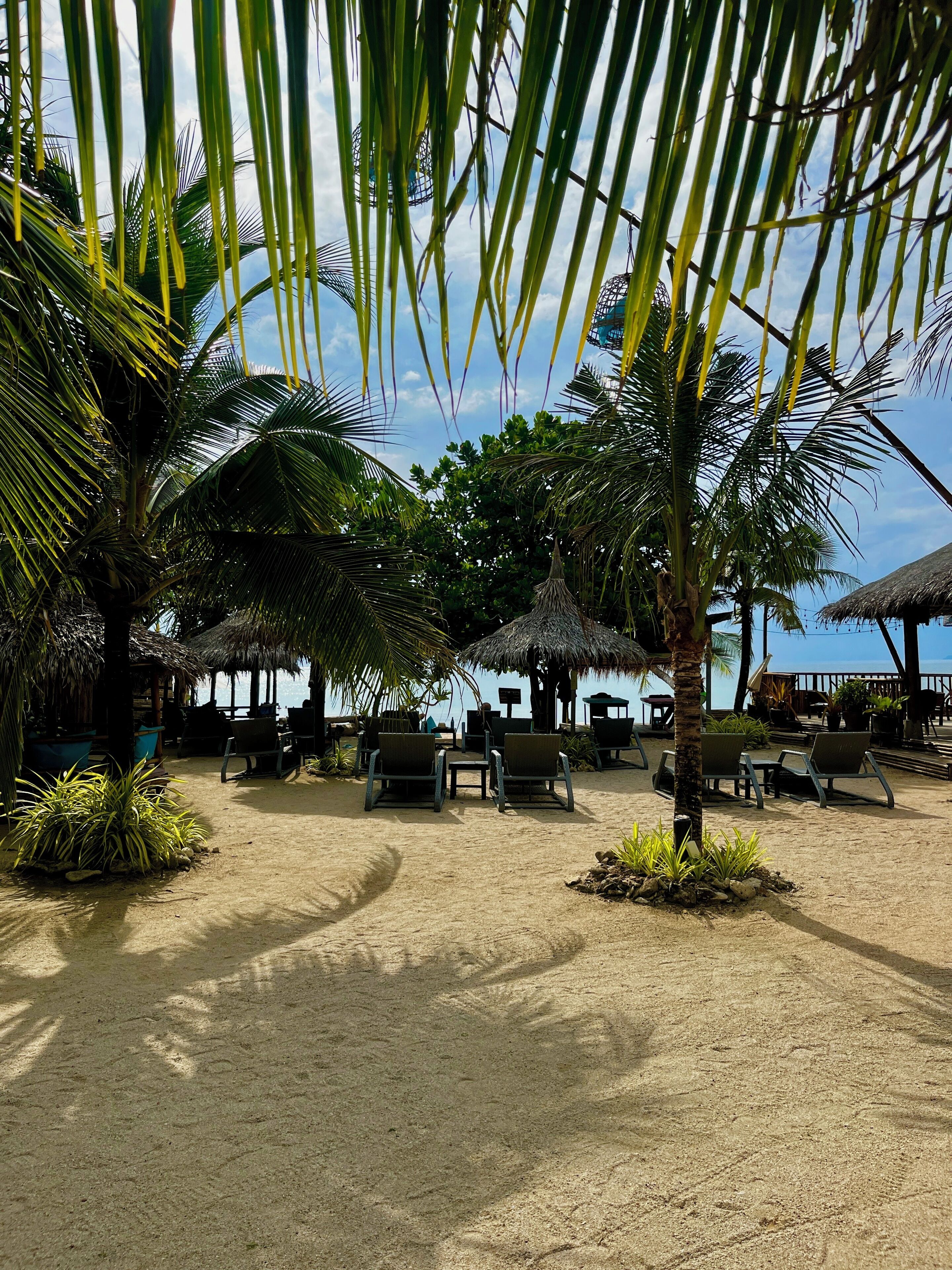 Beachfront Bungalow | View from room