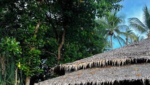 Beachfront Bungalow