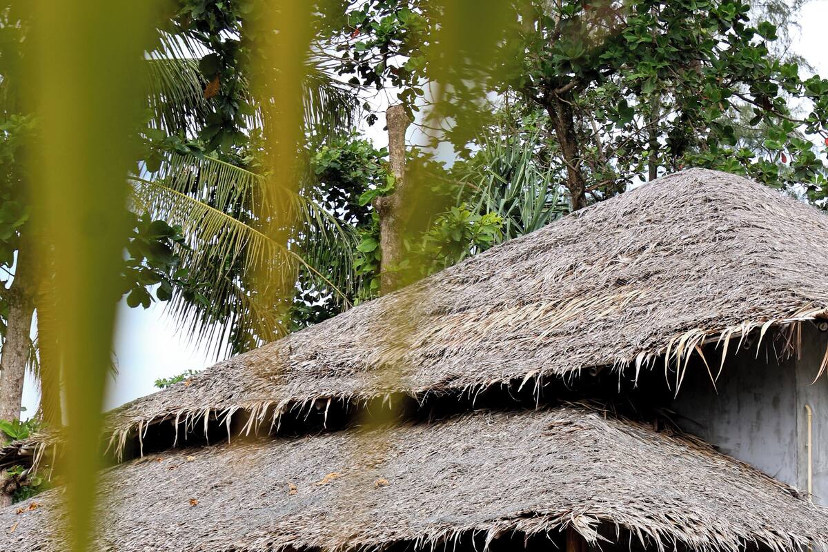 A thatched-roof structure with a wooden balcony, surrounded by lush tropical vegetation.