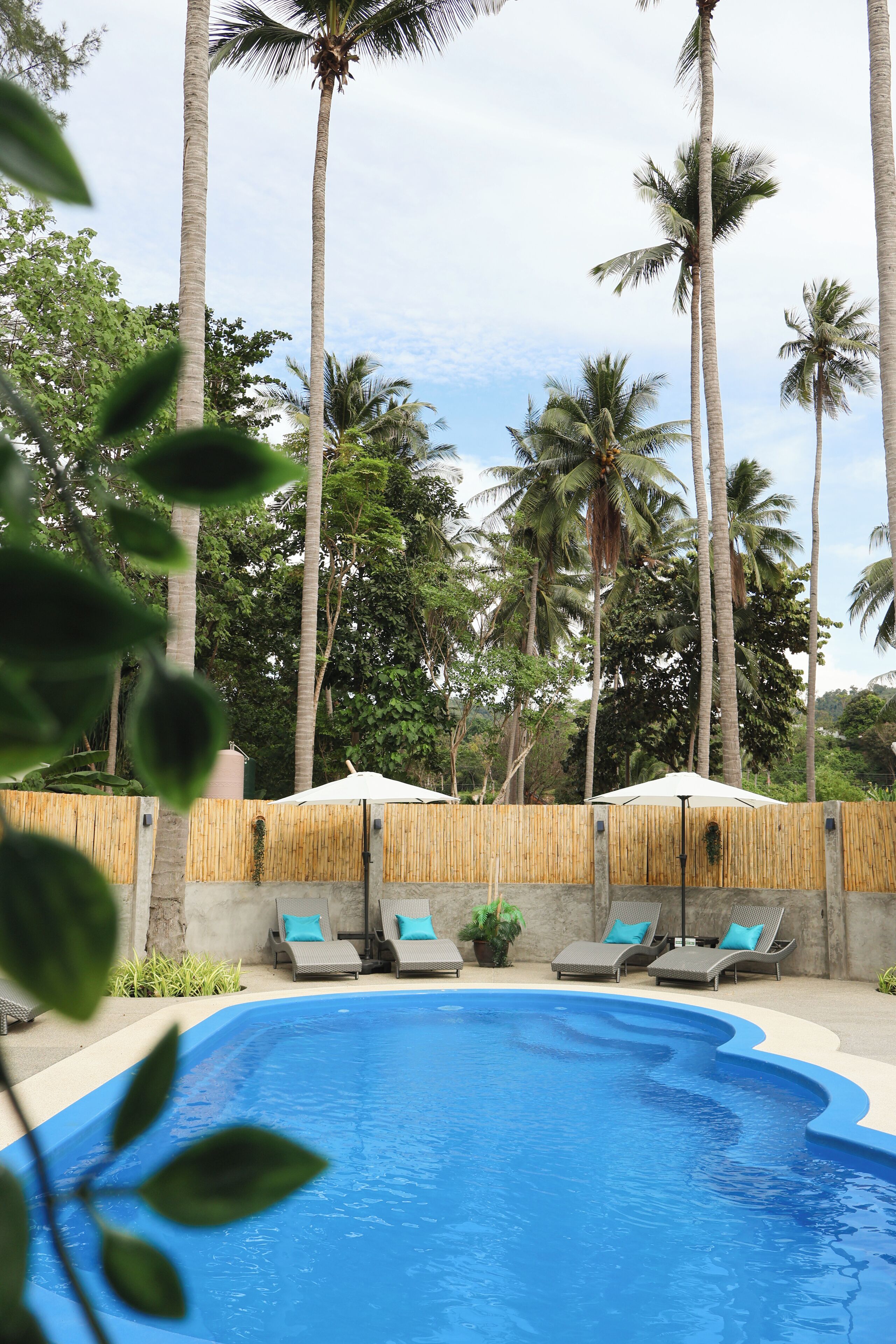 Foto - The Lazy Lodge