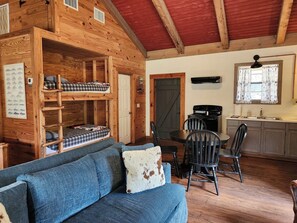 TV, fireplace, books, video library