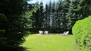 A grassy outdoor area with a table and chairs, surrounded by dense trees. - Holiday home Nice view for 1 - 5 persons (Esch)