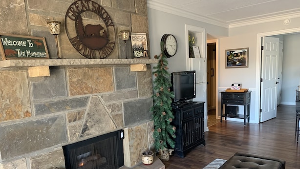 A living room with a stone fireplace, a television on a black stand, and a Christmas tree.