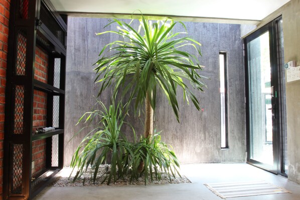 Terrace/patio - Owl Homestay (Kuala Lumpur)