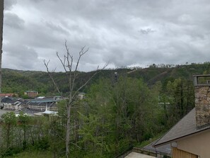 Uklassifisert bilde, 2 av 14, knapp