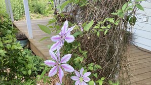 Un jardin agrémenté de plantes à fleurs et doté d’une terrasse en bois.