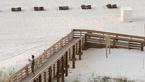 Ein hölzerner Steg führt zu einem Strand, eine Person geht darauf.