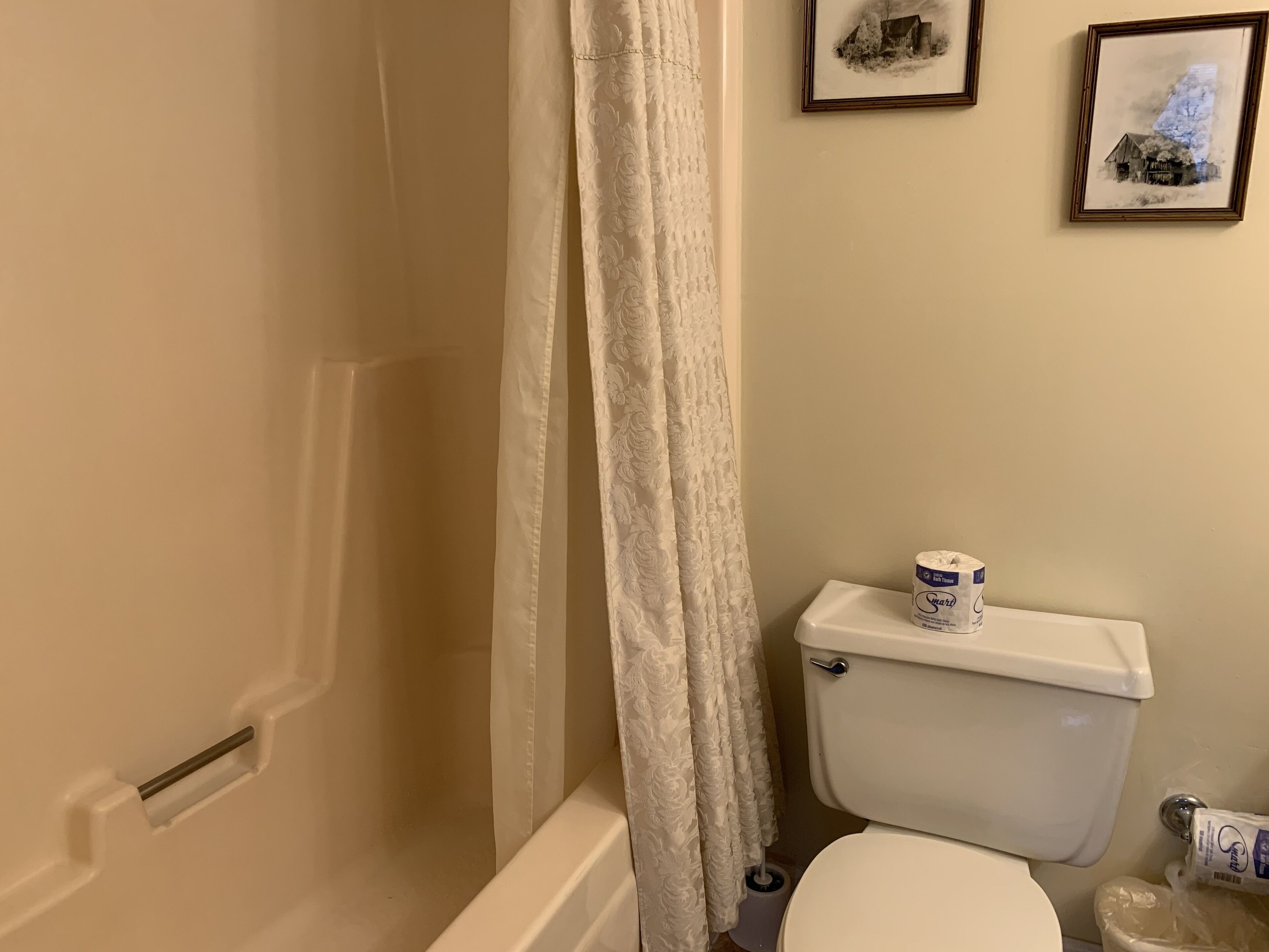 Een badkamer met een toilet, een douchegordijn en twee ingelijste foto's aan de muur.