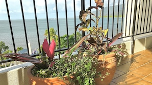 Ein Balkon mit Topfpflanzen und Blick auf das Meer.