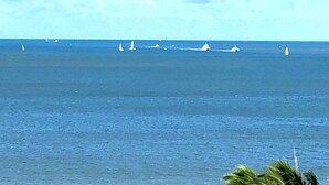 Blick auf den Ozean mit mehreren Segelbooten.