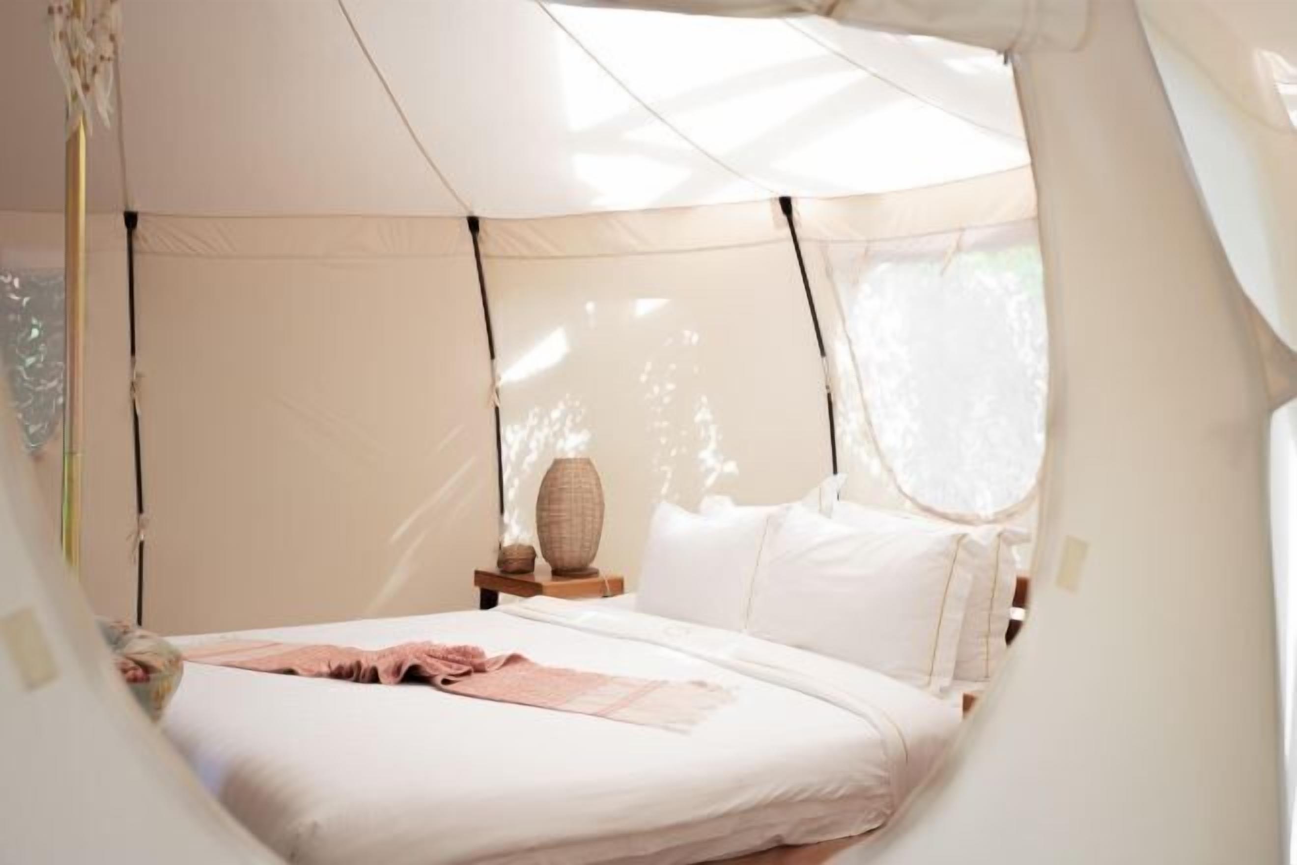 Sábanas de algodón egipcio, ropa de cama de alta calidad y minibar 