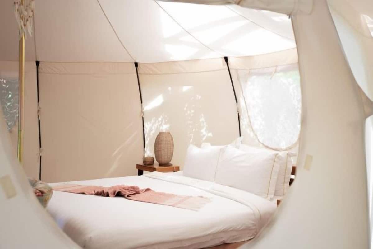 Sábanas de algodón egipcio, ropa de cama de alta calidad y minibar